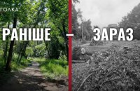 Вирубка лісосмуги на Теремках: небезпечний урядовий експеримент і хибний вибір між дубами і теплом