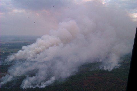 Спасатели остановили распространение огня в Чернобыльской зоне