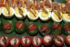 В Голландии издали сборник рецептов из насекомых