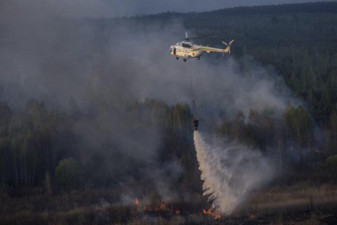 В Киевской области горит лес