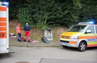 Рой шершней напал на посетителей фестиваля виноделия в Германии 