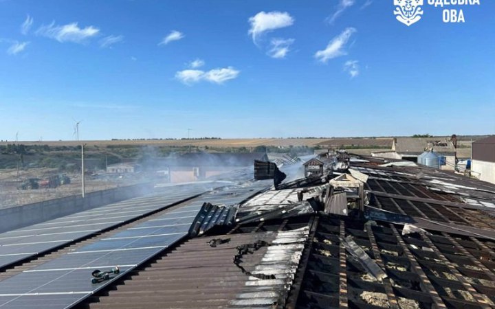 Росіяни завдали удару по птахофермі на Одещині: частина птиці загинула