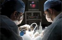 Врачи научились лечить сломанные кости ультразвуком
