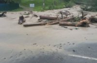 348 населенных пунктов остались без электричества из-за сильного ветра и дождя