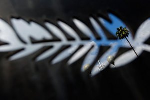 На Каннском кинофестивале покажут фильм Сергея Лозницы про Майдан (обновляется)