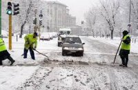 Тысячи итальянцев просят взять их на работу дворниками