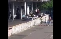Полиция начала расследование гибели 38 щенков во время перелета из Киева в Торонто