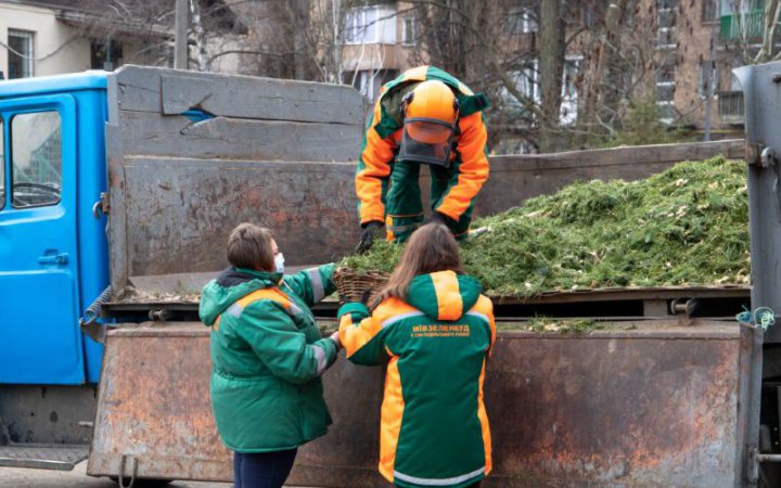 Кияни здали на переробку близько тисячі новорічних дерев