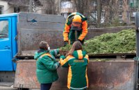 Кияни здали на переробку близько тисячі новорічних дерев
