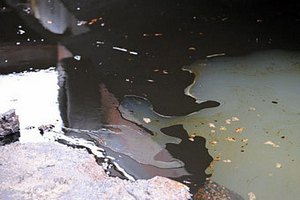 11 тысяч нигерийцев подали в суд на Shell