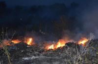 Возле Николаева горел мусорный полигон