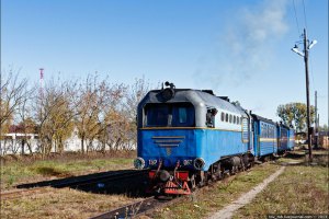 Укрзализныця отказалась от узкоколейки Антоновка-Заречное