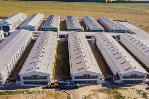Аграрии призвали власти вмешаться в ситуацию вокруг "Овостар Юнион" 