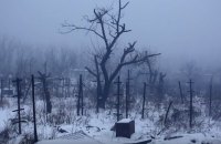 Авдеевские виноградники. Январь 2018