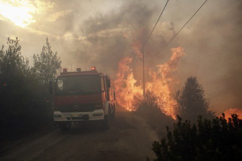 Греческая полиция задержала подозреваемого в поджоге леса