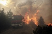 Греческая полиция задержала подозреваемого в поджоге леса