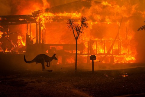 Australian Open оказался под угрозой срыва