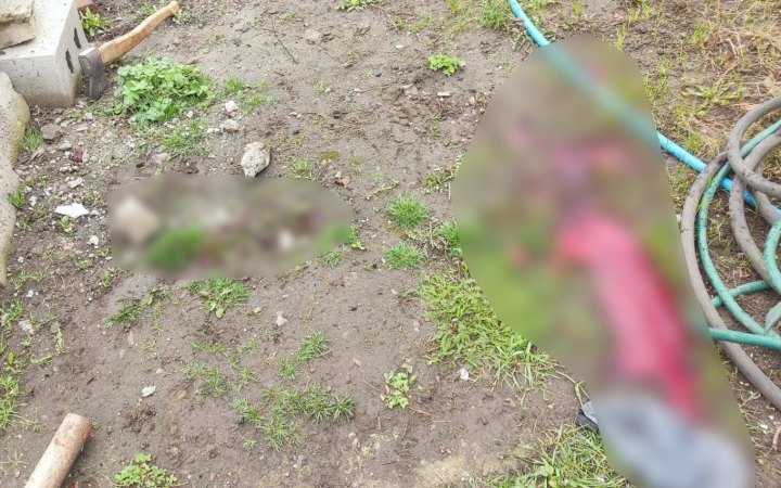 На Харківщині чоловік підірвався на міні