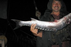 В Мариуполе разрешили продавать рыбу из Азовского моря