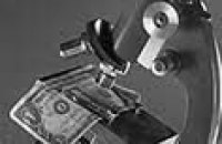 В Индии арестован угольный магнат, замешанный в коррупционных скандалах, которые привели к протестам