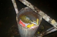 В Киеве мужчина с гранатой угрожал взорвать магазин