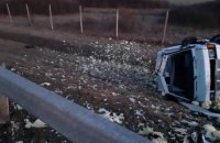 В Венгрии произошло ДТП с пятью автомобилями: погибли двое украинцев, еще 7 - пострадали