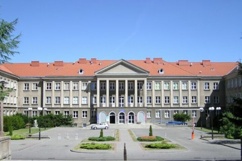 В Польше отстранили от учебы студентку, которая назвала украинку "животным" 