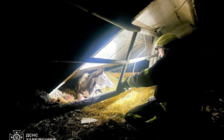 Двоє мешканців Харківщини загинули, і ще 48 постраждали через атаки РФ (оновлено)