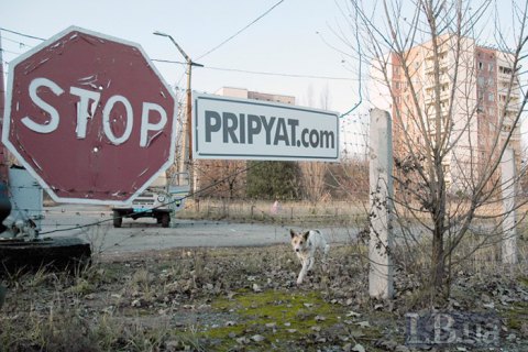 Министерство энергетики и защиты окружающей среды представит план развития Чернобыльской зоны - Буславец
