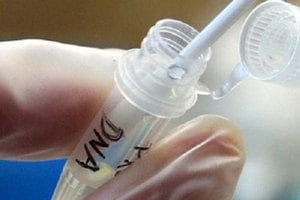 Арестован доктор, получивший образцы ДНК членов семьи бен Ладена