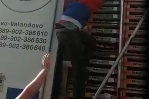 Пограничники нашли трех нелегалов в грузовике с нектаринами, двое из них несовершеннолетние 
