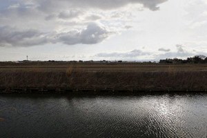 В Японии решили запретить продажу риса из Фукусимы