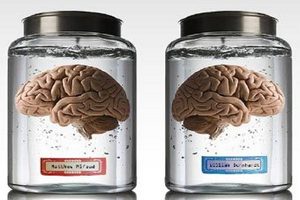 Британские рекламщики выставили мозги на продажу