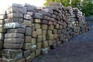 На мексиканском кладбище обнаружили 2 тонны марихуаны
