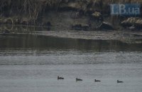 В прифронтовой Красногоровке подросток утонул при попытке переплыть карьер