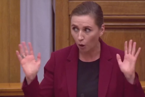 Премьер-министр Дании рассмешила парламент рассказом о дружбе слона и верблюда