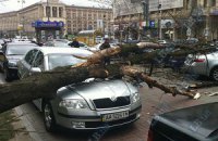 На Крещатике ветер повалил дерево на три автомобиля 