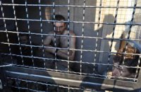 Пресс-центр АТО показал плененных у Лисичанска террористов из РФ