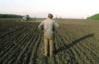 Найдорожчий в Україні пай продали у Львівській області
