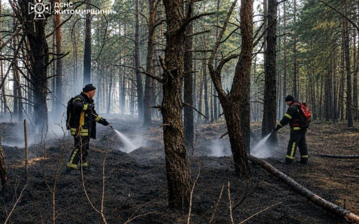 На Житомирщині ліквідували масштабну лісову пожежу, що виникла внаслідок російських атак