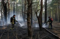 На Житомирщині ліквідували масштабну лісову пожежу, що виникла внаслідок російських атак