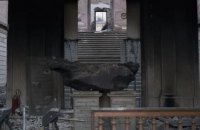 Выживут только метеориты: чему нас учит пожар в Национальном музее Бразилии