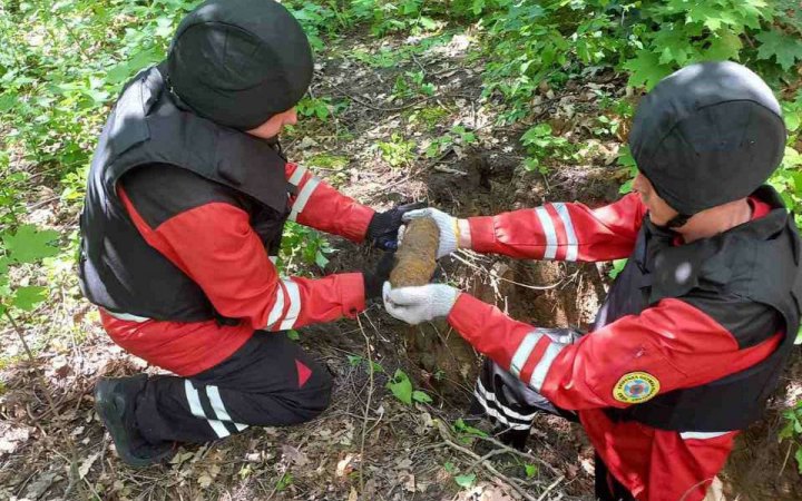 У Києві в ботанічному саду виявили 4 снаряди часів Другої світової війни, - КМВА