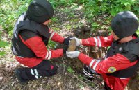 У Києві в ботанічному саду виявили 4 снаряди часів Другої світової війни, - КМВА