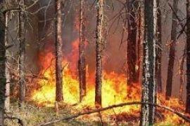 В Калифорнии объявлена чрезвычайная ситуация 
