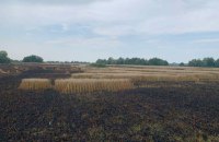 Російські окупаційні війська за день 10 разів обстріляли Сумщину, – Живицький