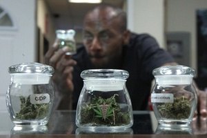 Власти голландского города запретили продавать марихуану иностранцам