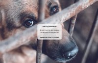 Правоохоронці нагадали алгоритм дій для свідків жорстокого поводження з тваринами