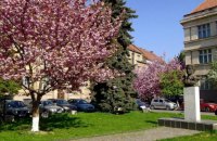 "Ще нам Адольфа тут не вистачало”: дерусифікація вулиць в Ужгороді 
