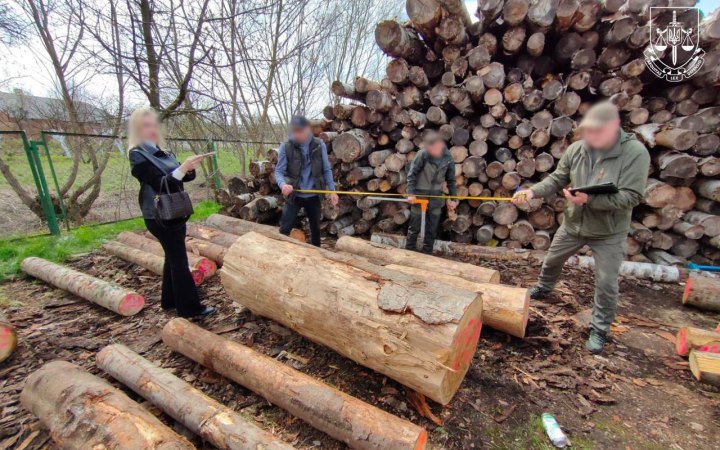 Судитимуть ексерівника ДСНС на Прикарпатті за незаконну рубку лісу на 7 млн грн